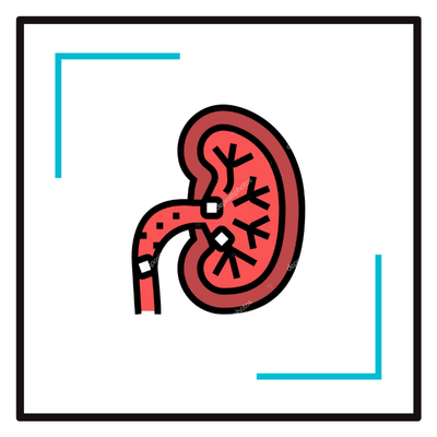 Kidney Stone