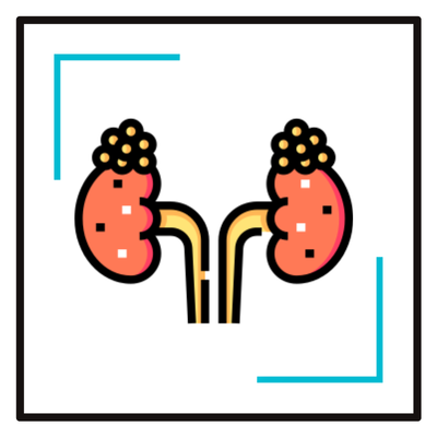 Urinary Care