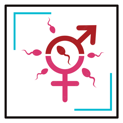 Women’s Fertility & PCOS Care
