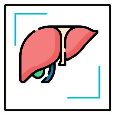 Liver Care