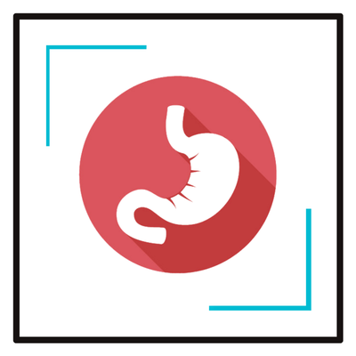 Digestive & Gastrointestinal Care