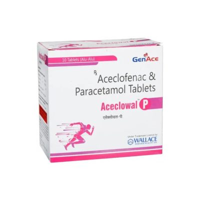 ACECLOWAL P TABLETS